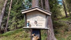 Südtirol 2021 022