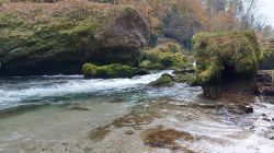 Erlaufschlucht 2021 001