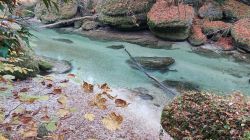 Erlaufschlucht 2021 003