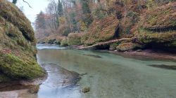 Erlaufschlucht 2021 004