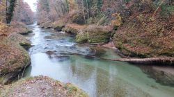 Erlaufschlucht 2021 006