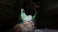 Erlaufschlucht 2021 011